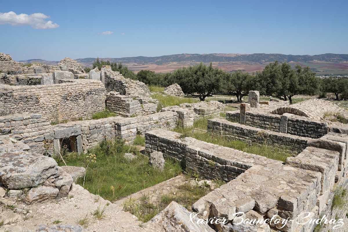 Dougga - Maison du Trifolium
Mots-clés: Bājah Dougga geo:lat=36.42167094 geo:lon=9.21999559 geotagged TUN Tunisie Beja Thugga Ruines Ruines romaines patrimoine unesco Maison du Trifolium