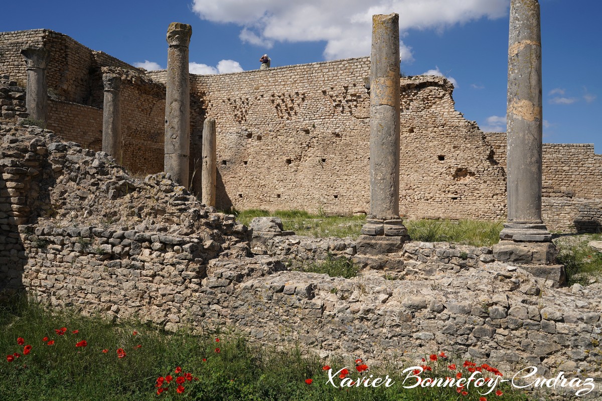 Dougga - Thermes de Liciniens
Mots-clés: Bājah Dougga geo:lat=36.42201410 geo:lon=9.21917282 geotagged TUN Tunisie Beja Thugga Ruines Ruines romaines patrimoine unesco Thermes de Liciniens