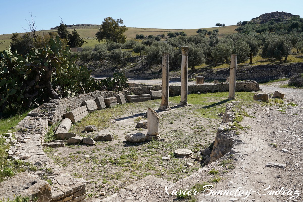 Dougga - Latrines de Ain Doura
Mots-clés: Bājah Dougga geo:lat=36.42041804 geo:lon=9.21678096 geotagged TUN Tunisie Beja Thugga Ruines Ruines romaines patrimoine unesco Latrines de Ain Doura