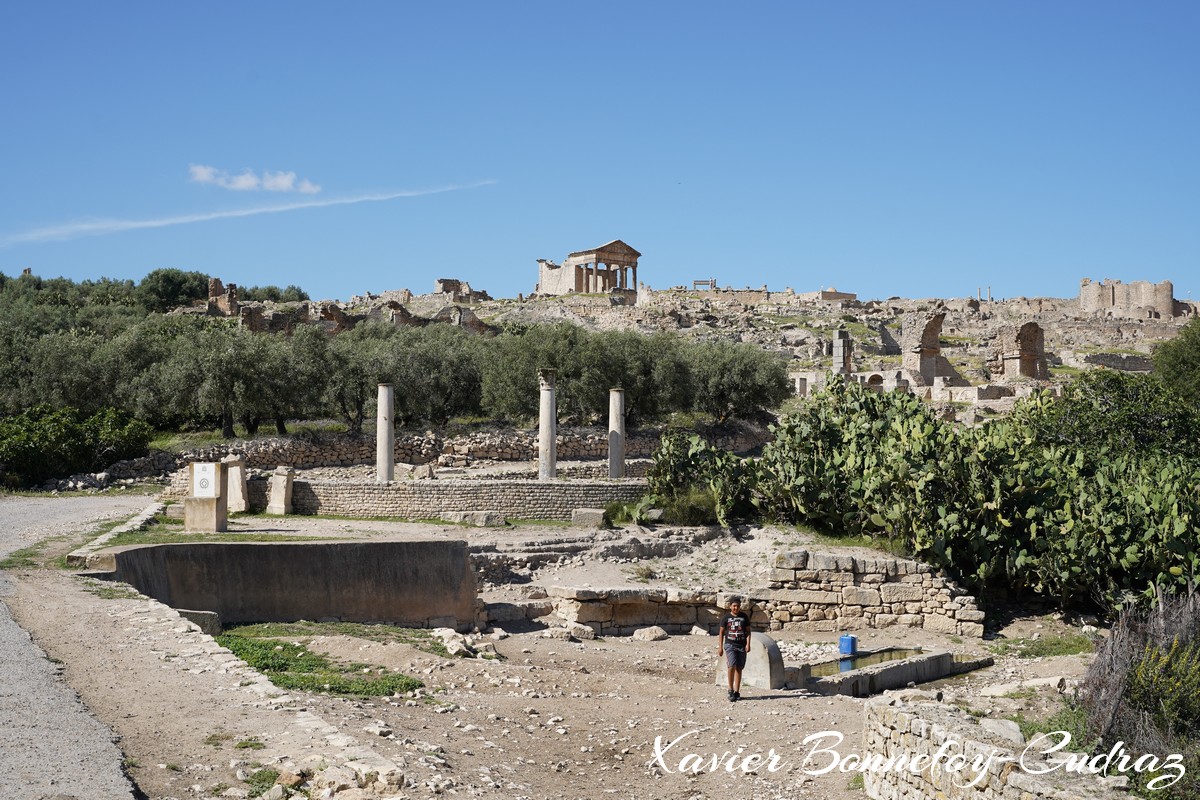 Dougga - Le Capitole
Mots-clés: Bājah Dougga geo:lat=36.42017415 geo:lon=9.21643093 geotagged TUN Tunisie Beja Thugga Ruines Ruines romaines patrimoine unesco Latrines de Ain Doura Thermes de Liciniens