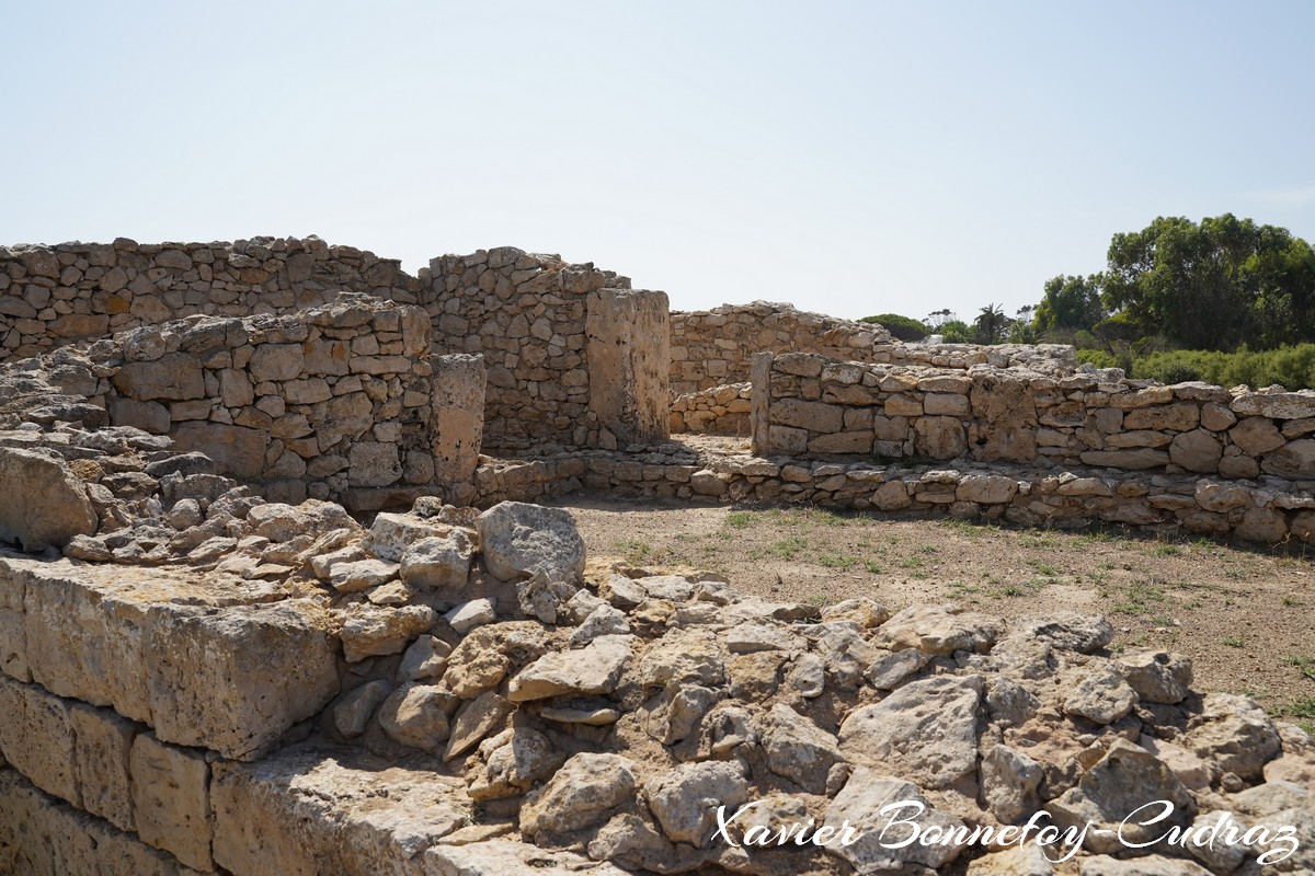 Cap Bon - Site archeologique de Kerkouane
Mots-clés: geo:lat=36.94719091 geo:lon=11.09989688 geotagged Kerkouane Nābul TUN Tunisie Nabeul Site archéologique de Kerkouane Ruines Ruines romaines Ruines puniques patrimoine unesco