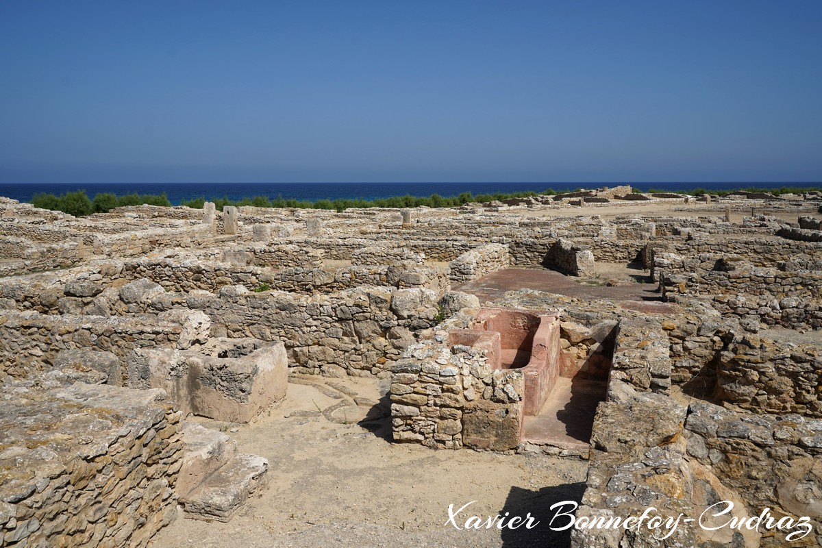 Cap Bon - Site archeologique de Kerkouane
Mots-clés: geo:lat=36.94699423 geo:lon=11.09951399 geotagged Kerkouane Nābul TUN Tunisie Nabeul Site archéologique de Kerkouane Ruines Ruines romaines Ruines puniques patrimoine unesco