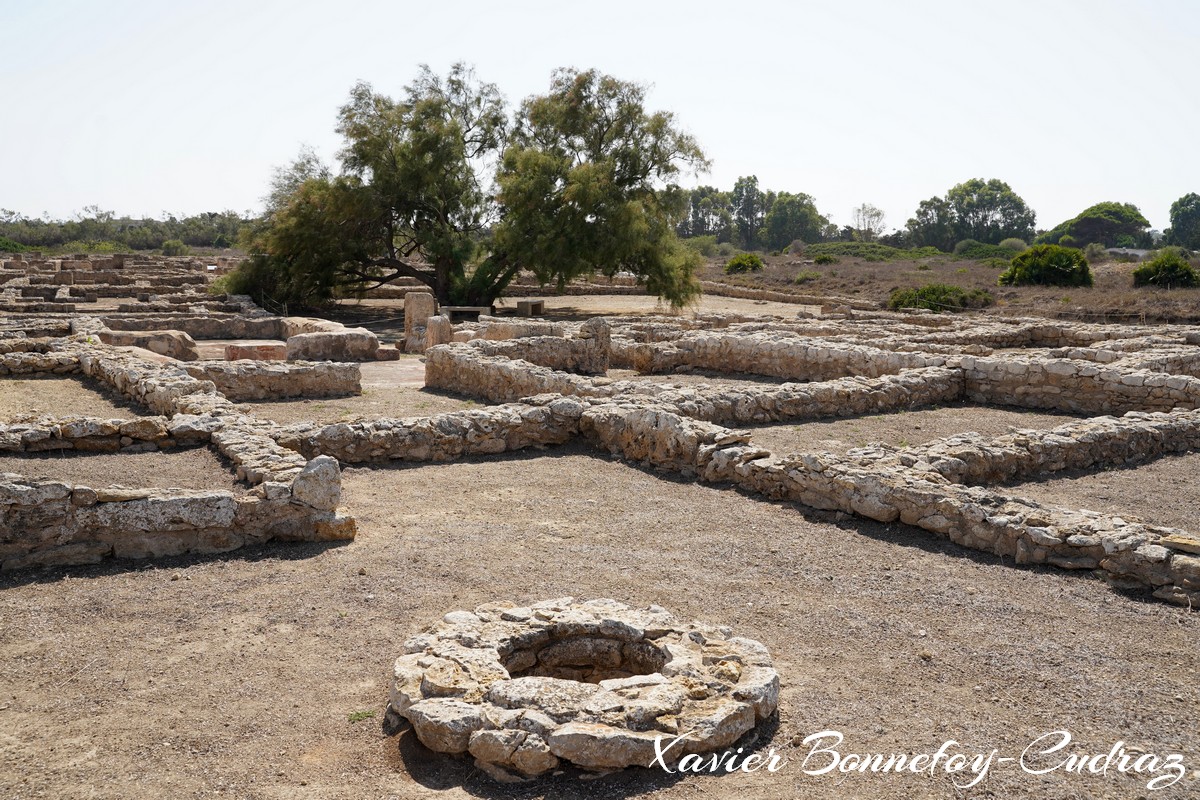 Cap Bon - Site archeologique de Kerkouane
Mots-clés: geo:lat=36.94656605 geo:lon=11.10016443 geotagged Kerkouane Nābul TUN Tunisie Nabeul Site archéologique de Kerkouane Ruines Ruines romaines Ruines puniques patrimoine unesco