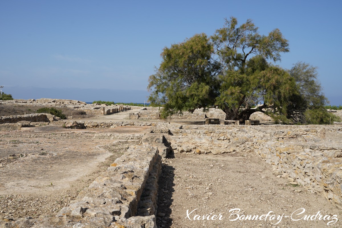 Cap Bon - Site archeologique de Kerkouane
Mots-clés: geo:lat=36.94616519 geo:lon=11.09961122 geotagged Kerkouane Nābul TUN Tunisie Nabeul Site archéologique de Kerkouane Ruines Ruines romaines Ruines puniques patrimoine unesco