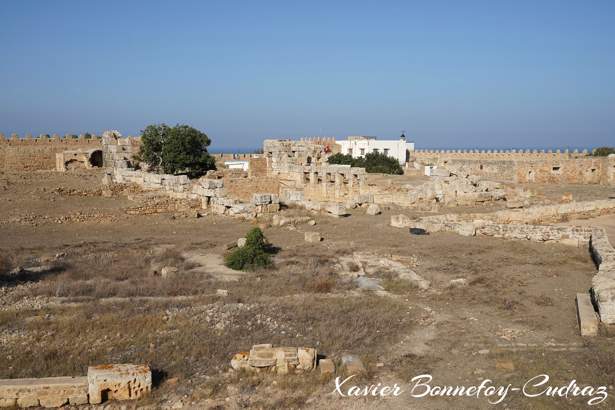 Cap Bon - Fort de Kelibia
Mots-clés: geo:lat=36.83728364 geo:lon=11.11543223 geotagged Nābul TUN Tunisie Nabeul Kelibia Fort Ruines