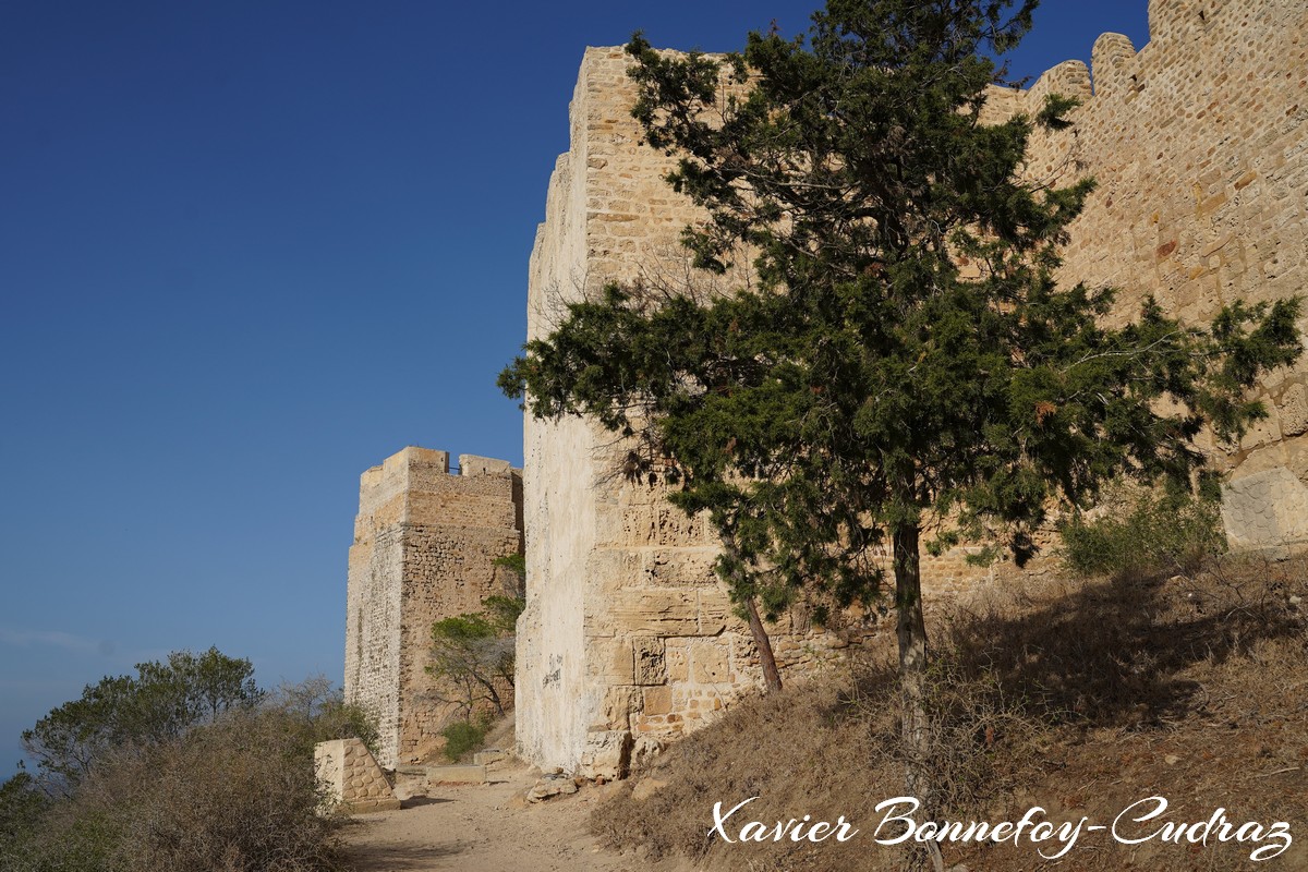 Cap Bon - Fort de Kelibia
Mots-clés: geo:lat=36.83805215 geo:lon=11.11484617 geotagged Nābul TUN Tunisie Nabeul Kelibia Fort Ruines