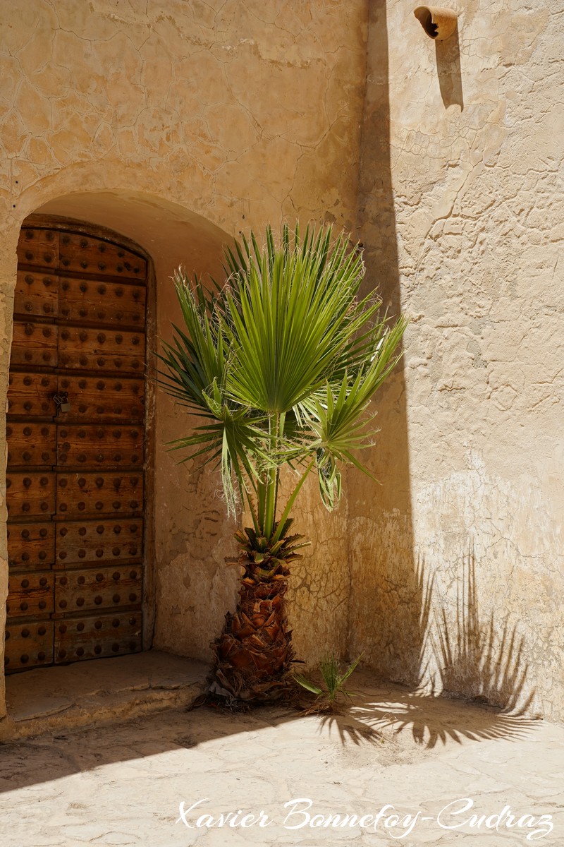 Hammamet - Kasbah
Mots-clés: geo:lat=36.39456077 geo:lon=10.61223440 geotagged Hammamet Nābul TUN Tunisie Nabeul Kasbah Medina Fort