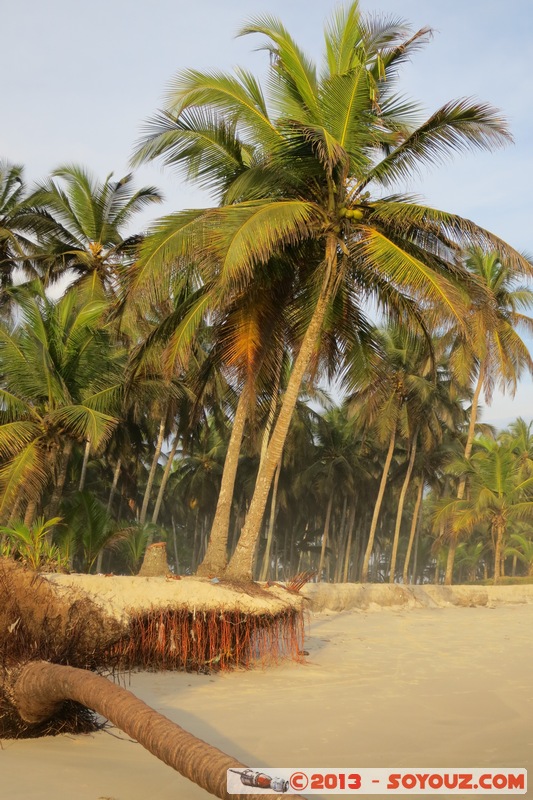 Assinie
Mots-clés: CIV CÃ´te d&#039;Ivoire Sud-Como plage Palmier