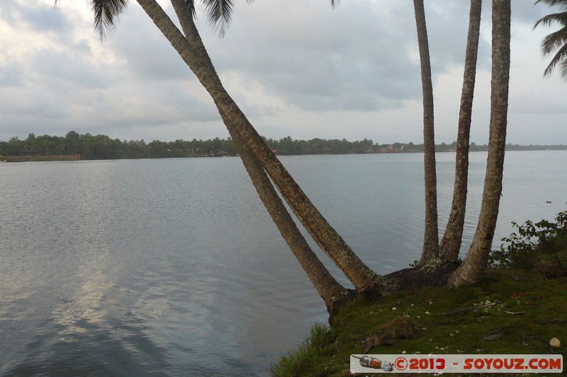 Assinie - Lagune
Mots-clés: Palmier Lac