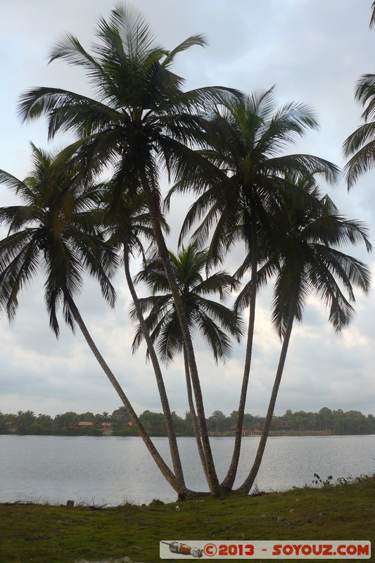 Assinie - Lagune
Mots-clés: Palmier Lac