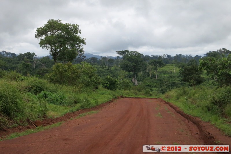 Route Man / Frontière Guinée
