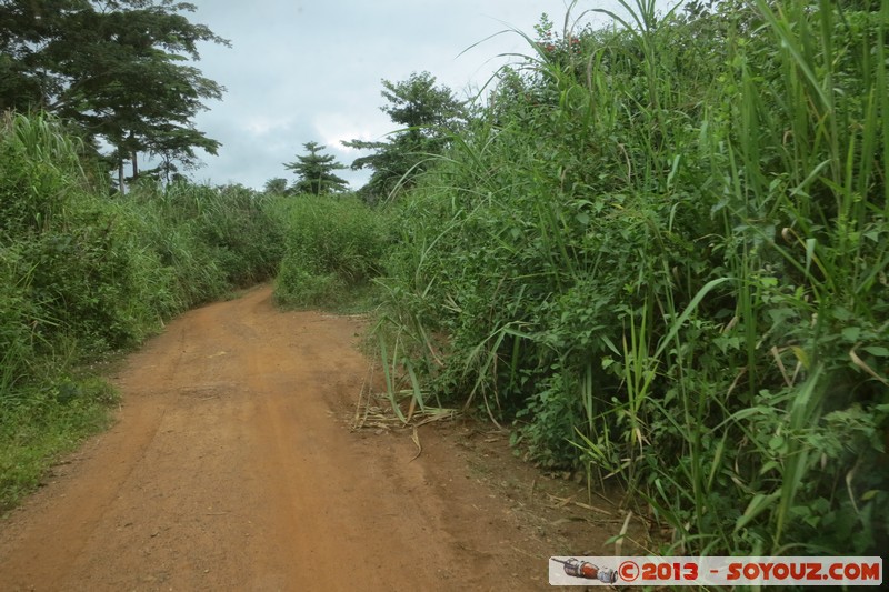 Sipilou
Mots-clés: CIV CÃ´te d&#039;Ivoire Dix-Huit Montagnes geo:lat=7.89962500 geo:lon=-8.10912300 geotagged Sipilou