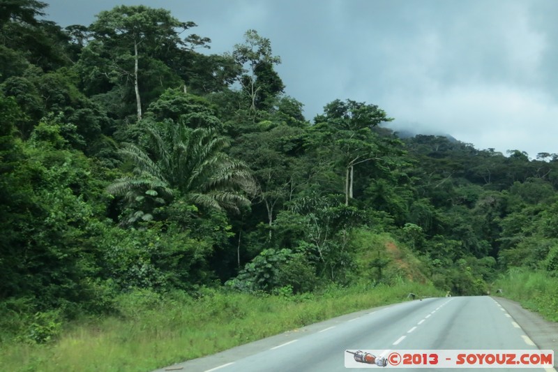 Route N'zérékoré - Conakry
