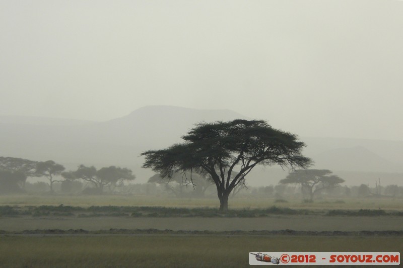 Amboseli National Park - Sunset
Mots-clés: Amboseli geo:lat=-2.69236326 geo:lon=37.29511937 geotagged KEN Kenya Rift Valley Amboseli National Park sunset Arbres