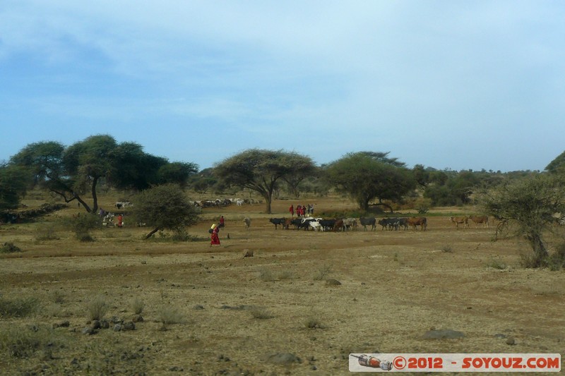 Amboseli - Masai
Mots-clés: geo:lat=-2.76061602 geo:lon=37.43148518 geotagged KEN Kenya Kimana Rift Valley Arbres