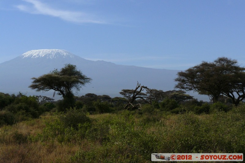 Amboseli National Park - Kilimandjaro
Mots-clés: Amboseli geo:lat=-2.71899471 geo:lon=37.37796486 geotagged KEN Kenya Rift Valley Arbres Kilimandjaro volcan