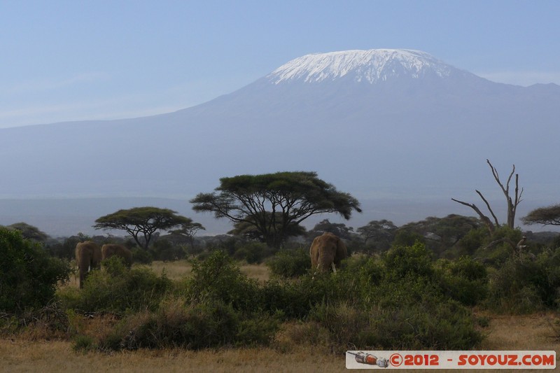Amboseli National Park - Kilimandjaro and Elephant
Mots-clés: Amboseli geo:lat=-2.71685622 geo:lon=37.37410064 geotagged KEN Kenya Rift Valley animals Elephant Kilimandjaro volcan