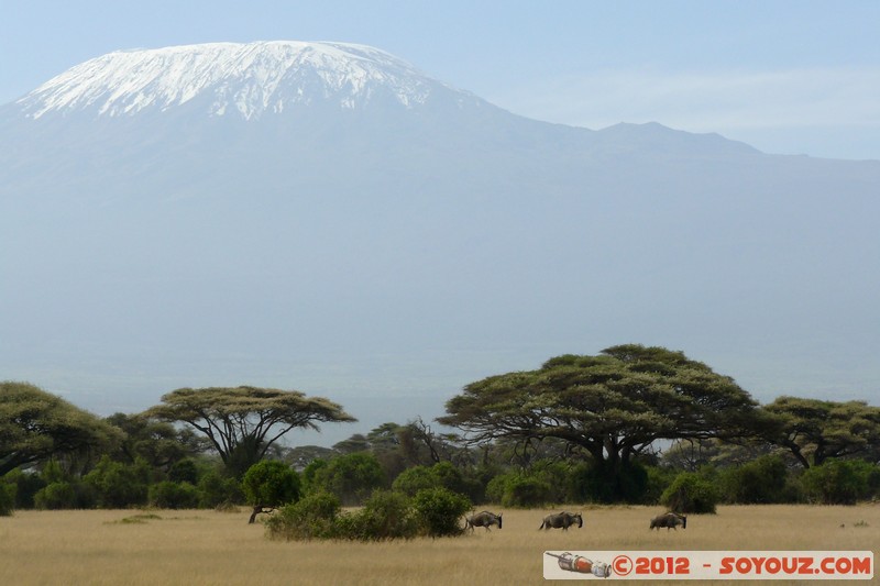 Amboseli National Park - Kilimandjaro and Blue Wildebeest
Mots-clés: Amboseli geo:lat=-2.71290694 geo:lon=37.35837439 geotagged KEN Kenya Rift Valley animals Gnu Kilimandjaro volcan