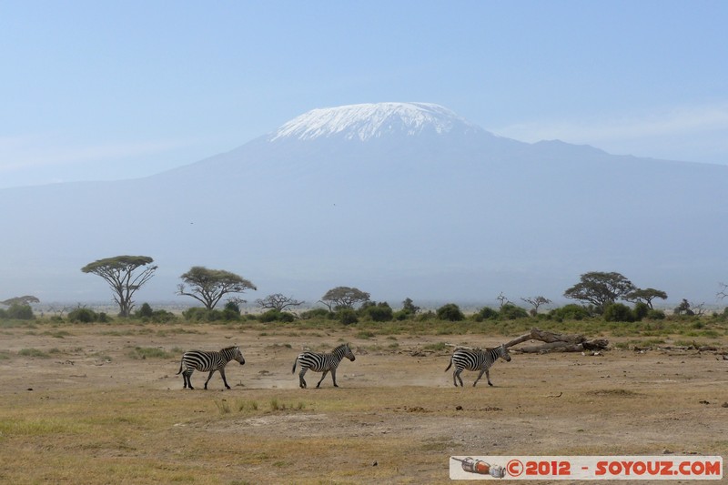 Amboseli National Park - Kilimandjaro
Mots-clés: Amboseli geo:lat=-2.70224074 geo:lon=37.30835837 geotagged KEN Kenya Rift Valley animals zebre Arbres volcan Kilimandjaro