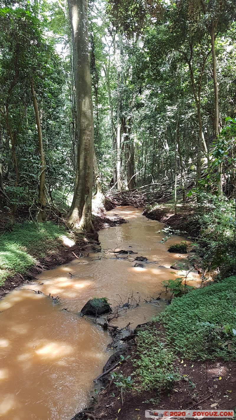 Nairobi - Karura Forest
Mots-clés: KEN Kenya Muthaiga Nairobi Area Nairobi Karura Forest Riviere