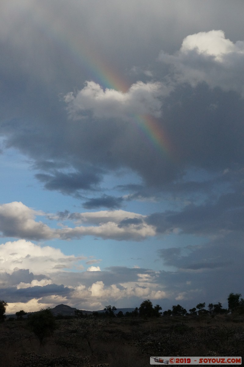 Swara Plains - Rainbow
Mots-clés: KEN Kenplains Kenya Machakos Swara Plains Wildlife Conservancy Arc-en-Ciel