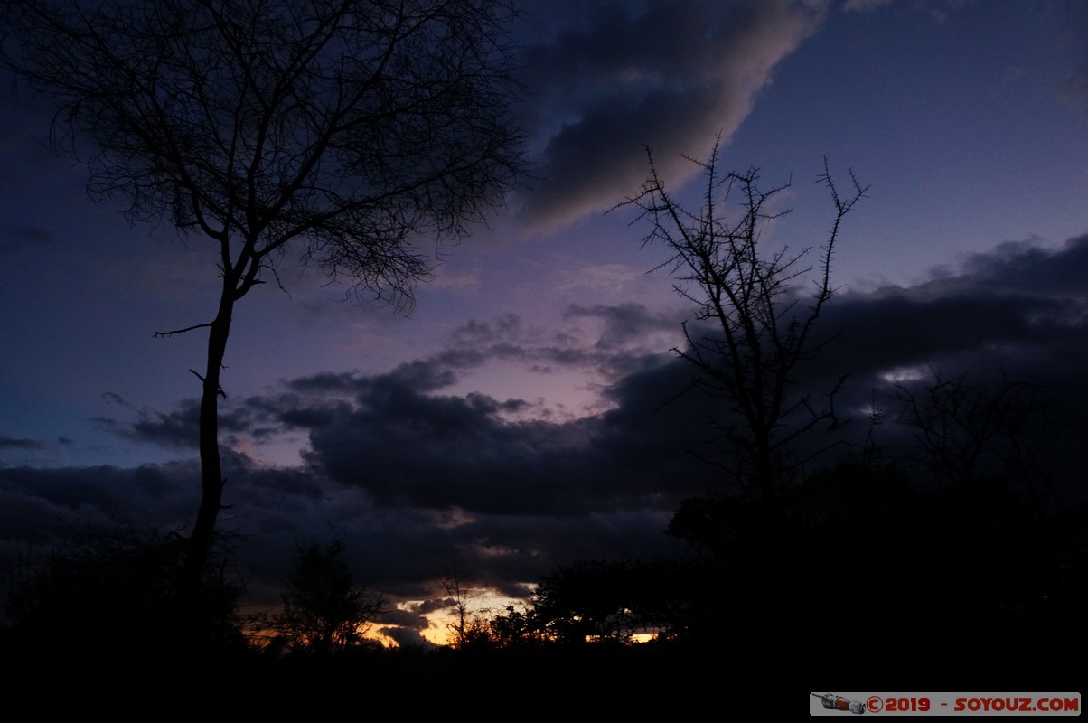 Swara Plains - Dusk
Mots-clés: KEN Kenplains Kenya Machakos Swara Plains Wildlife Conservancy sunset