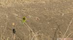DSC02180.JPG