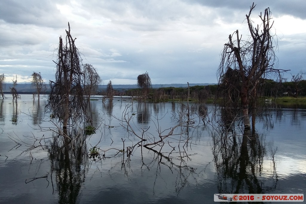 Lake Naivasha
Mots-clés: Lake Naivasha Lac