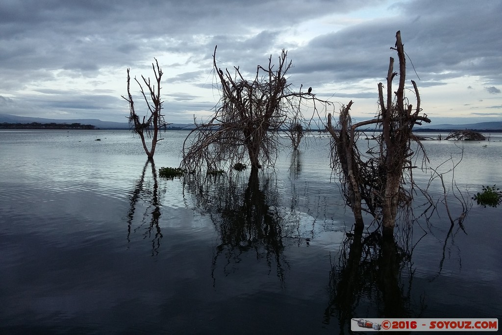 Lake Naivasha
Mots-clés: Lake Naivasha Lac