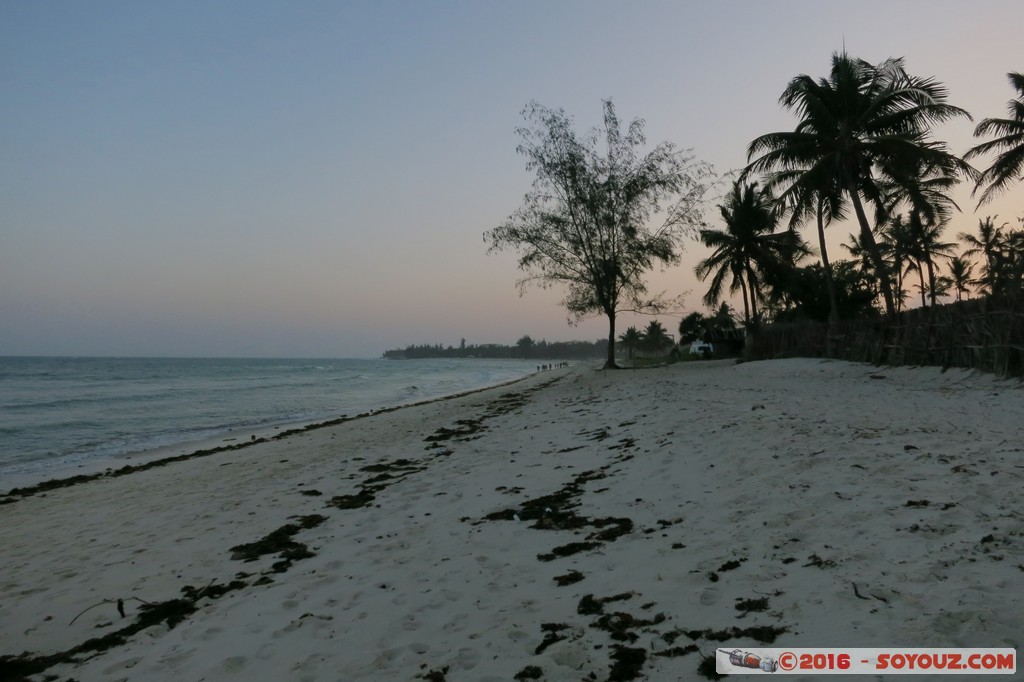 Tiwi Beach - Sunset
Mots-clés: Diani Beach KEN Kenya Kwale Mer plage Palmier sunset