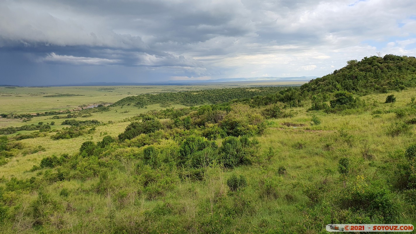 Masai Mara
Mots-clés: geo:lat=-1.40120349 geo:lon=35.02635828 geotagged KEN Kenya Narok Ol Kiombo paysage