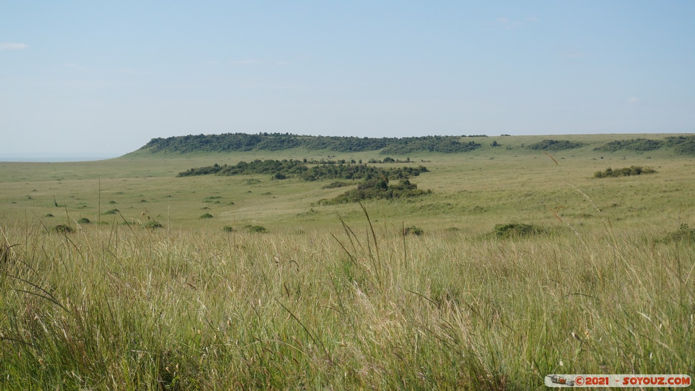 Masai Mara
Mots-clés: geo:lat=-1.40302180 geo:lon=35.01902295 geotagged KEN Kenya Narok Ol Kiombo Masai Mara paysage