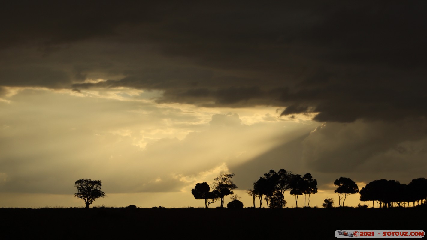 Masai Mara - Sunset on the savannah
Mots-clés: geo:lat=-1.37897153 geo:lon=34.99728054 geotagged KEN Kenya Narok Oloolaimutia Masai Mara Lumiere paysage sunset Nuages