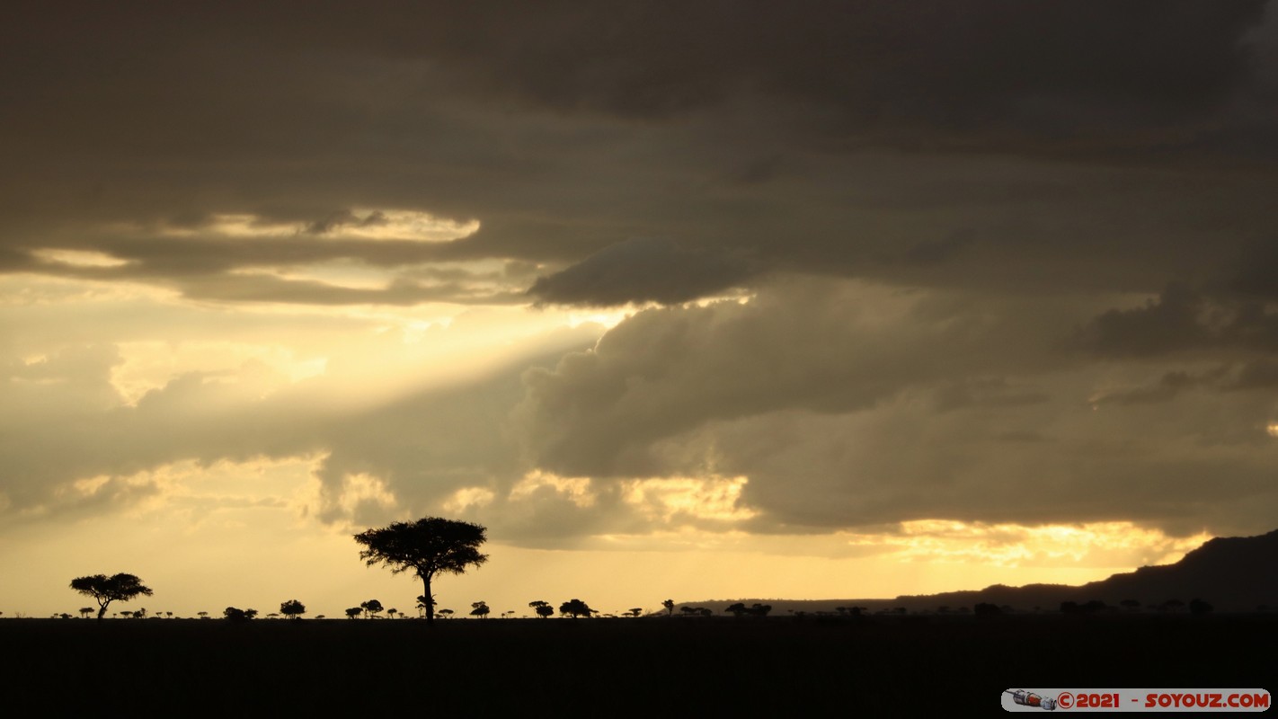 Masai Mara - Sunset on the savannah
Mots-clés: geo:lat=-1.37875221 geo:lon=34.99144433 geotagged KEN Kenya Narok Oloolaimutia Masai Mara Lumiere paysage sunset Nuages