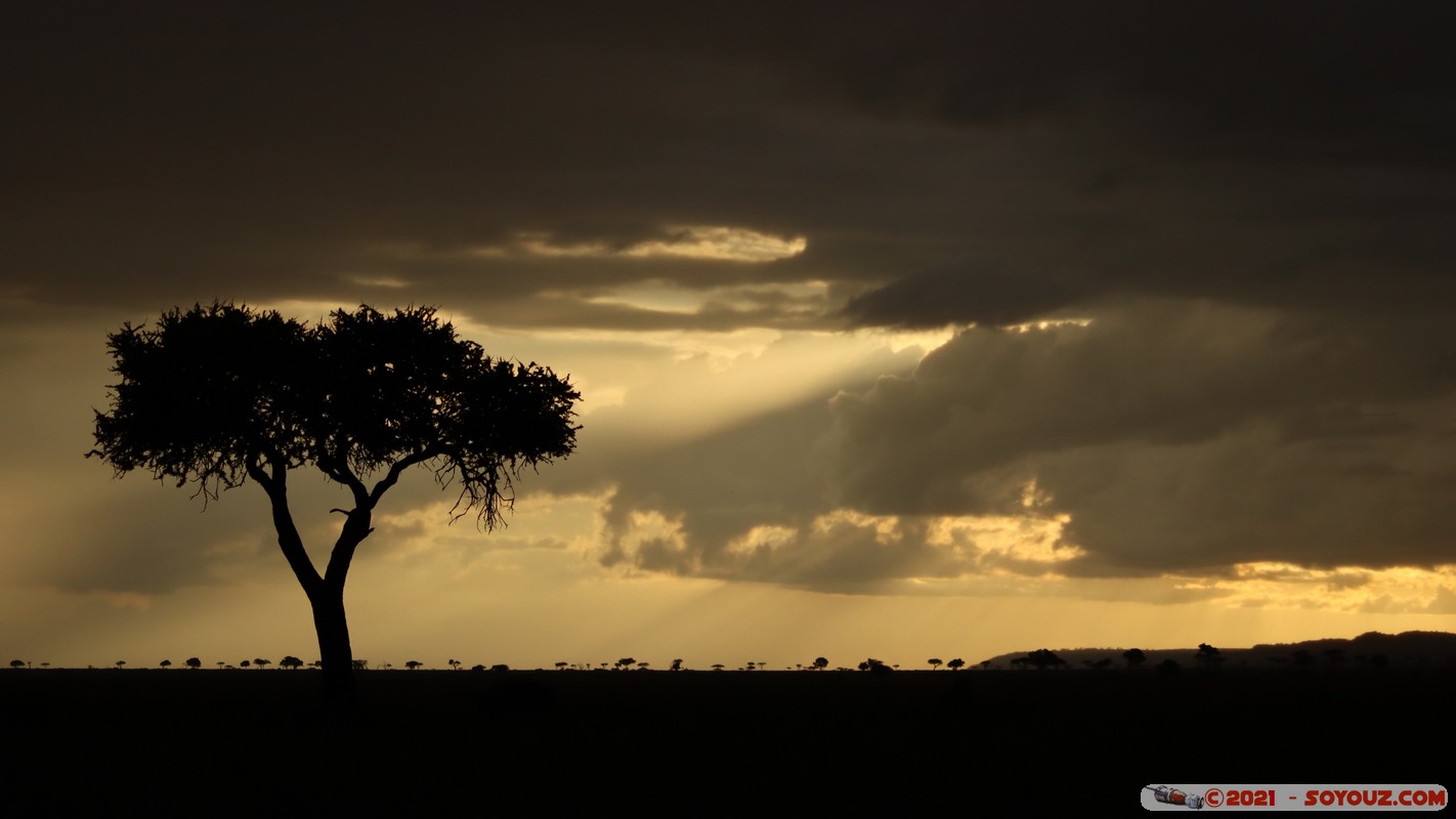 Masai Mara - Sunset on the savannah
Mots-clés: geo:lat=-1.37875221 geo:lon=34.99144433 geotagged KEN Kenya Narok Oloolaimutia Masai Mara Lumiere paysage sunset Nuages