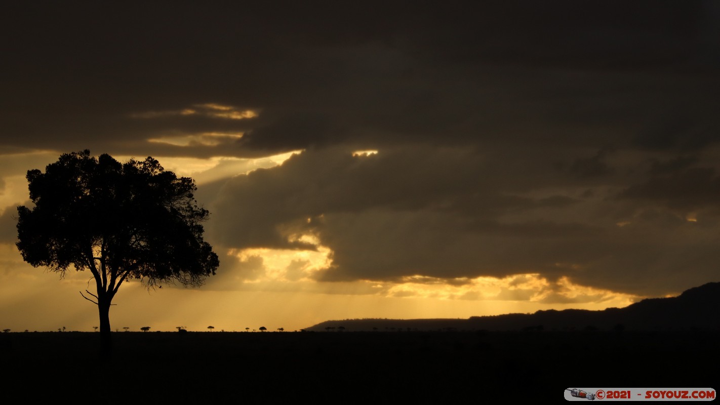 Masai Mara - Sunset on the savannah
Mots-clés: geo:lat=-1.37892382 geo:lon=34.98668072 geotagged KEN Kenya Narok Oloolaimutia Masai Mara Lumiere paysage sunset Nuages