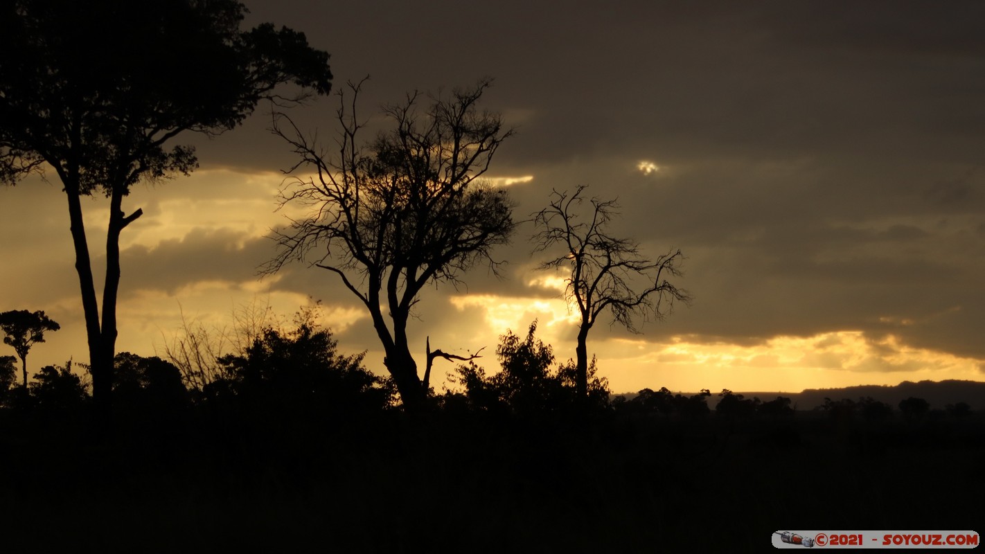 Masai Mara - Sunset on the savannah
Mots-clés: geo:lat=-1.37892382 geo:lon=34.98668072 geotagged KEN Kenya Narok Oloolaimutia Masai Mara Lumiere paysage sunset Nuages