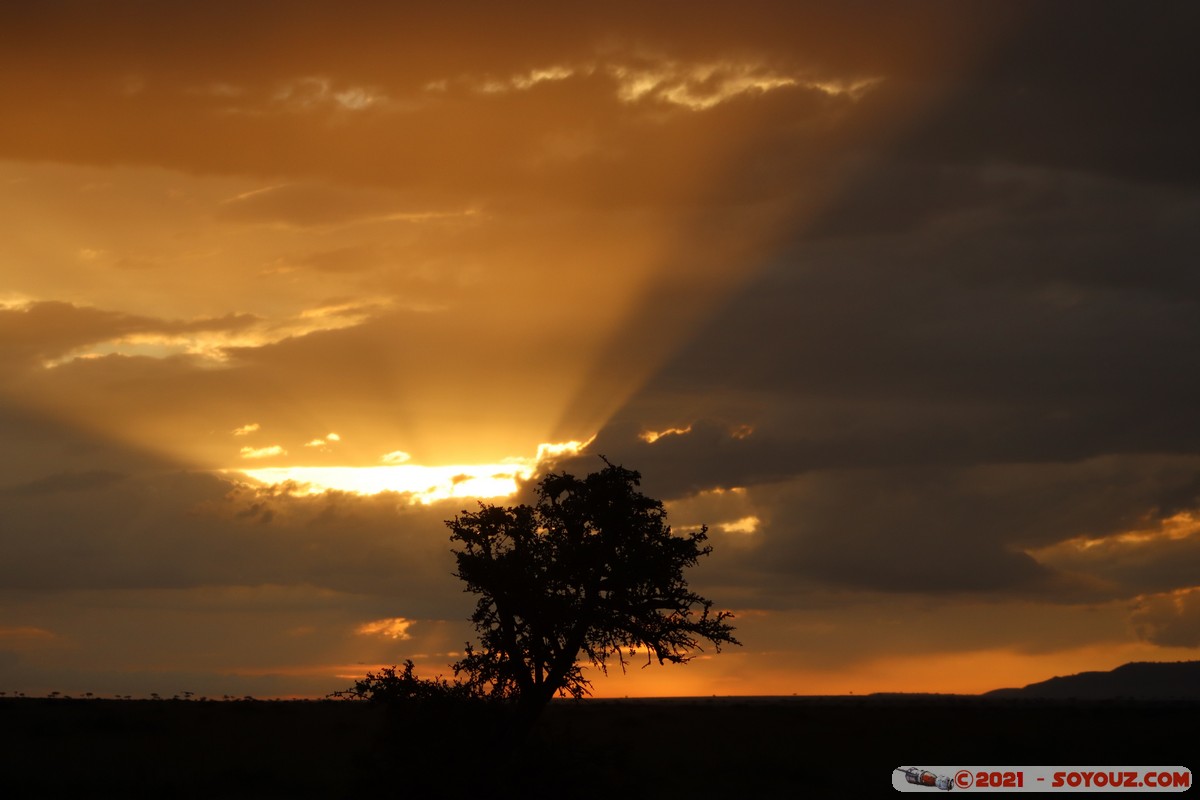 Masai Mara - Sunset on the savannah
Mots-clés: geo:lat=-1.40288257 geo:lon=34.98902279 geotagged KEN Kenya Narok Oloolaimutia Masai Mara Lumiere paysage sunset Nuages