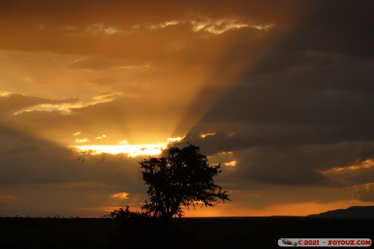 Masai Mara - Sunset on the savannah
Mots-clés: geo:lat=-1.40288257 geo:lon=34.98902279 geotagged KEN Kenya Narok Oloolaimutia Masai Mara Lumiere paysage sunset Nuages