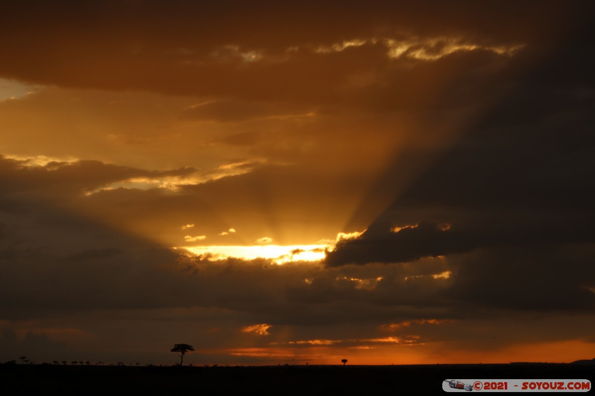 Masai Mara - Sunset on the savannah
Mots-clés: geo:lat=-1.40288257 geo:lon=34.98902279 geotagged KEN Kenya Narok Oloolaimutia Masai Mara Lumiere paysage sunset Nuages