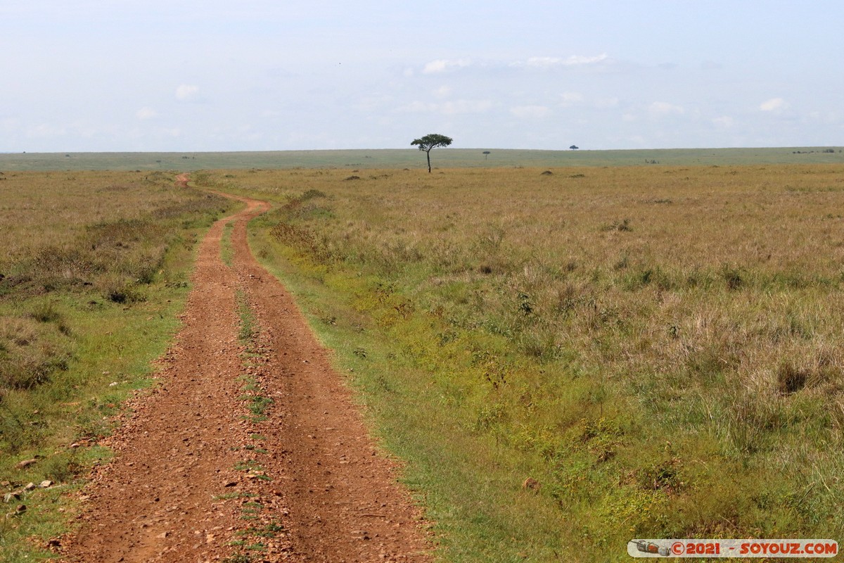 Masai Mara
Mots-clés: geo:lat=-1.49608388 geo:lon=35.02383317 geotagged KEN Kenya Narok Ol Kiombo Masai Mara paysage Route