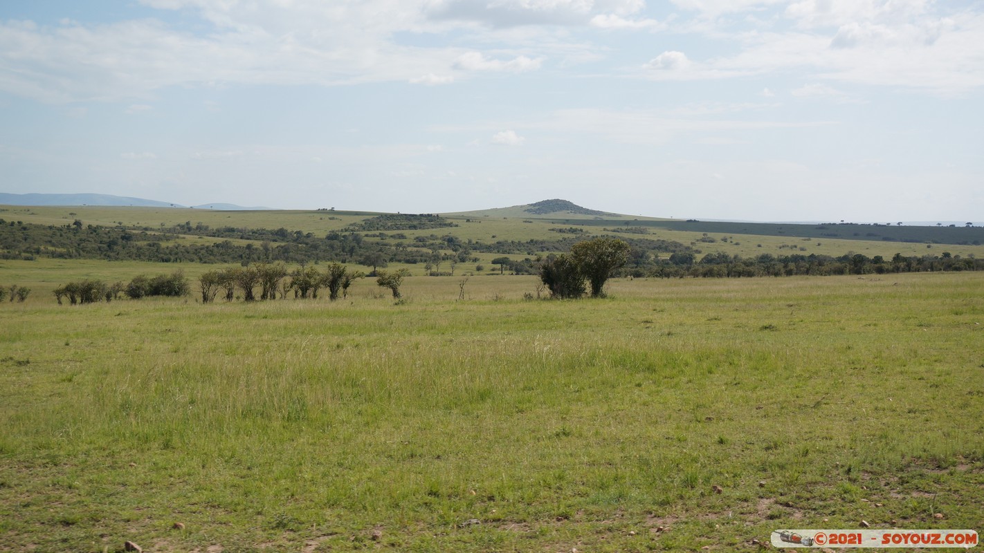 Masai Mara
Mots-clés: geo:lat=-1.47504721 geo:lon=35.05041594 geotagged KEN Kenya Narok Ol Kiombo Masai Mara paysage Arbres