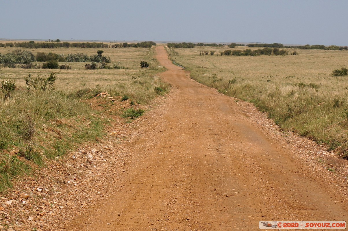 Masai Mara - On the road
Mots-clés: geo:lat=-1.58298542 geo:lon=35.24229505 geotagged Keekorok KEN Kenya Narok Masai Mara Route