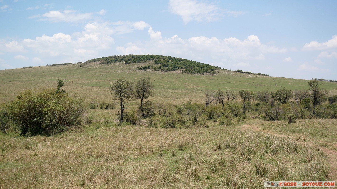 Masai Mara
Mots-clés: geo:lat=-1.50800210 geo:lon=35.05520117 geotagged KEN Kenya Narok Ol Kiombo Masai Mara paysage
