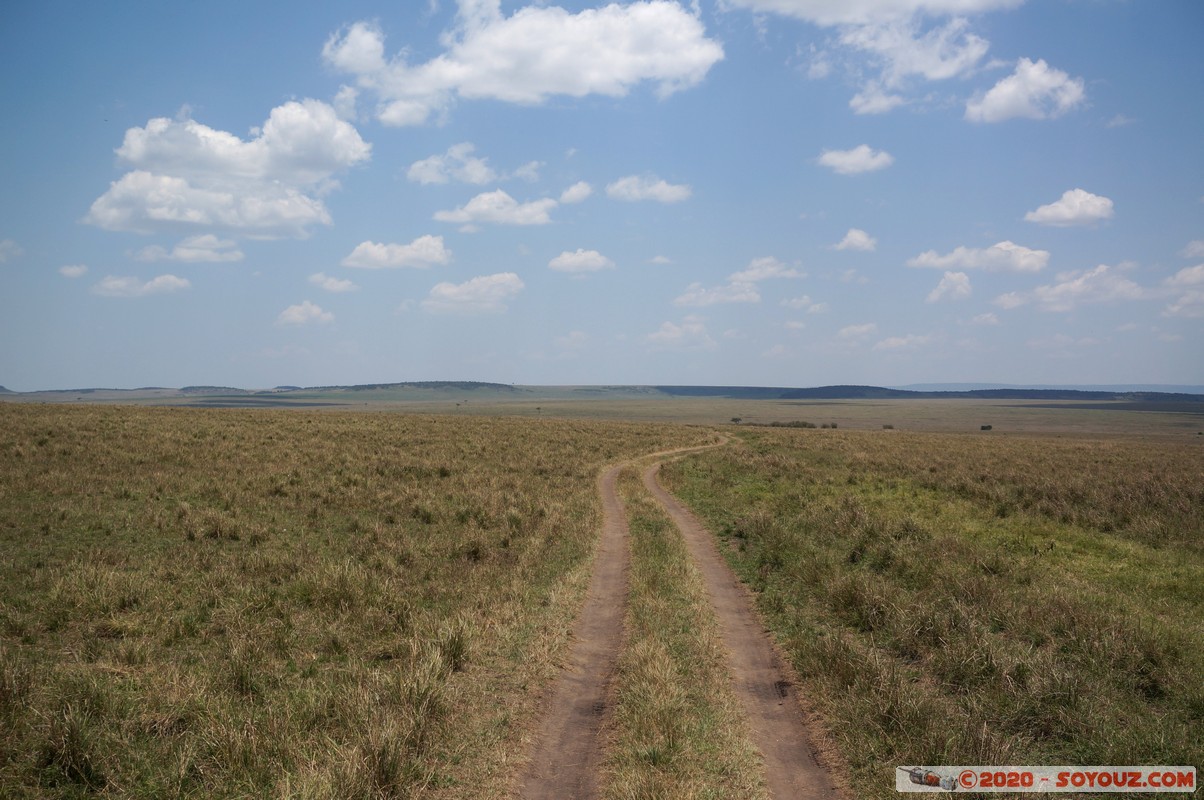 Masai Mara
Mots-clés: geo:lat=-1.51106234 geo:lon=35.04420261 geotagged KEN Kenya Narok Ol Kiombo Masai Mara paysage Route