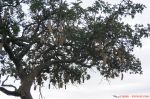 DSC03103.JPG