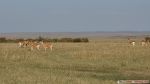 DSC03400.JPG