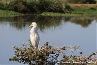 IMG_8152.JPG