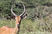 IMG_8356.JPG