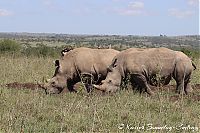 IMG_8647.JPG